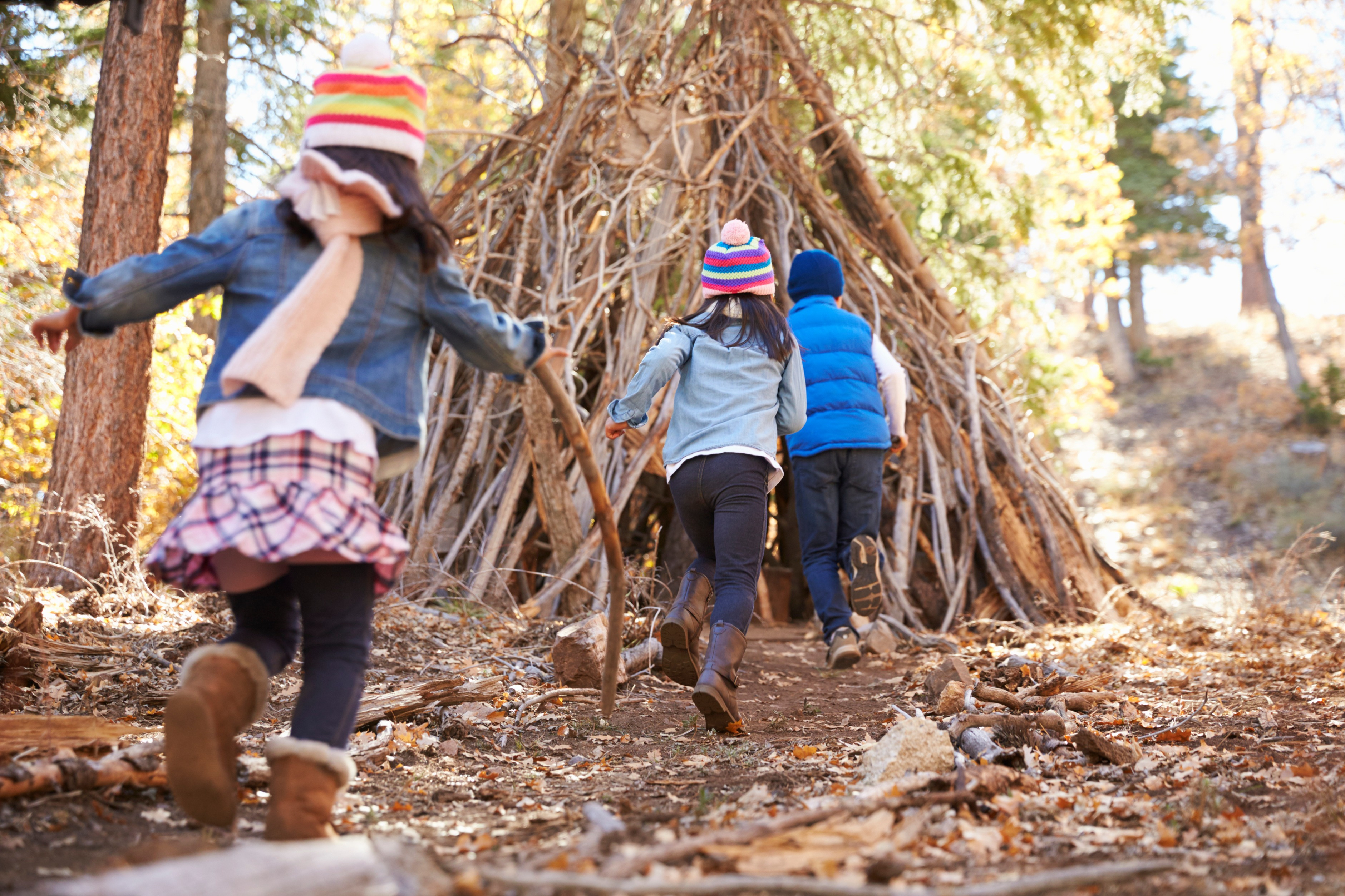 eine Gruppe Kinder rennt durch den Wald