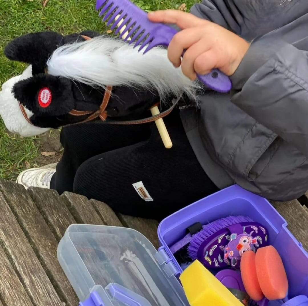 ein Hoby Horse wirdgestriegelt